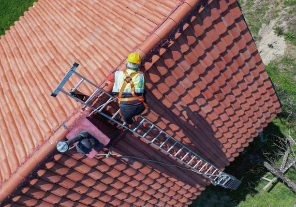 Best Roof Moss and Algae Removal  in St George, KS